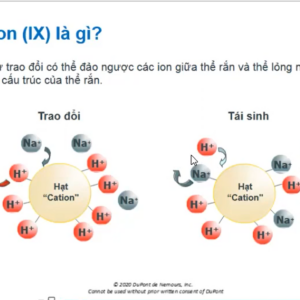 Tổng Quan Về Hạt Nhựa Trao Đổi Ion